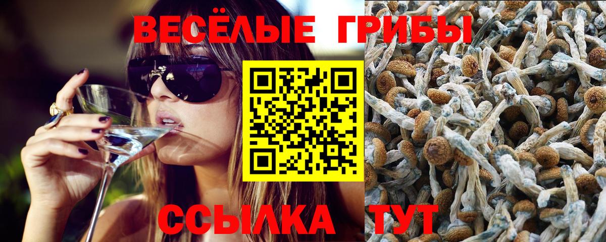 магазин  наркотиков  Галлюциногенные грибы Psilocybine cubensis  Вход с VPN  Красноперекопск  Галлюциногенные грибы Psilocybine cubensis 