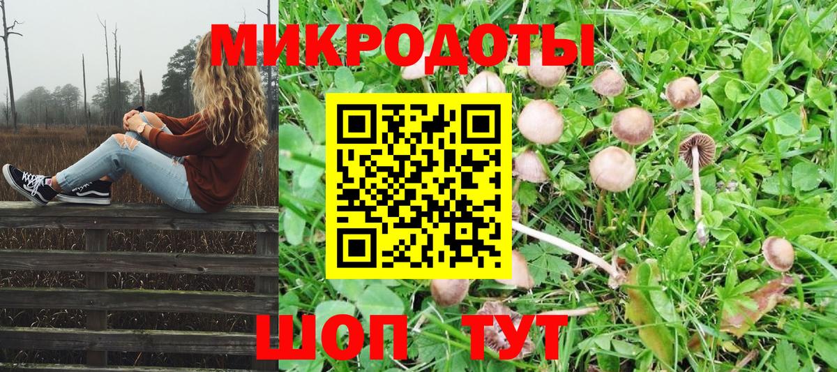 Галлюциногенные грибы Psilocybine cubensis Красноперекопск